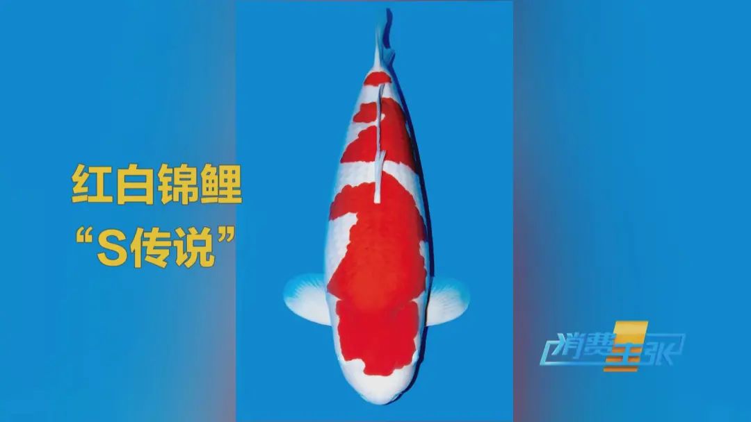 DƬ